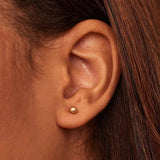 Boucles d'oreilles à boules | Or Blanc