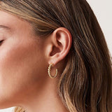 Boucles d'oreilles torsadées en corde | Or