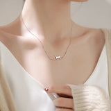 Collier de grimpe pour chat | Argent