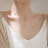 Collier de grimpe pour chat | Argent