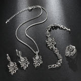 Ensemble élégant en argent avec zirconium